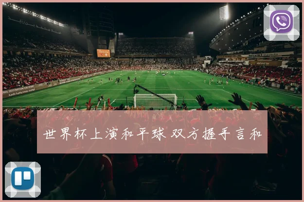 世界杯上演和平球 双方握手言和