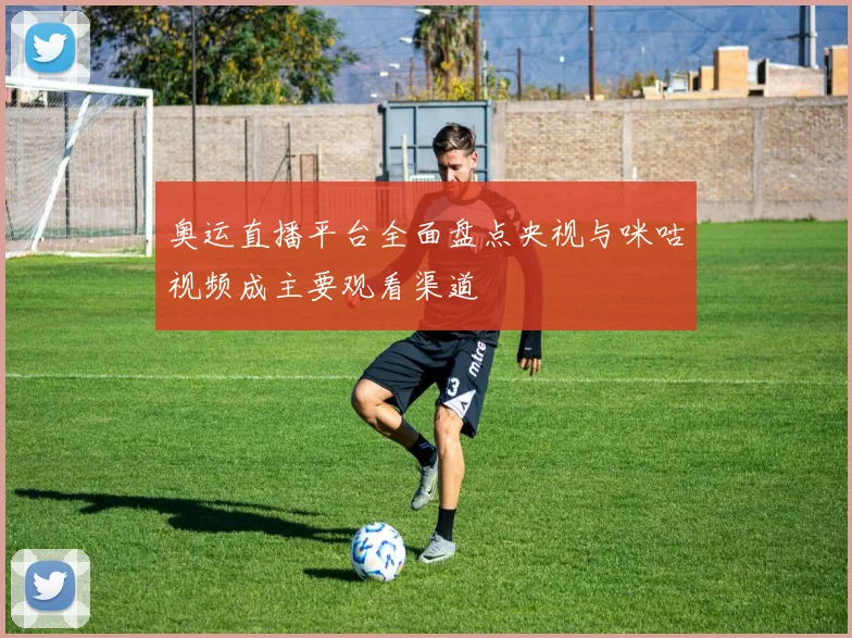 奥运直播平台全面盘点央视与咪咕视频成主要观看渠道