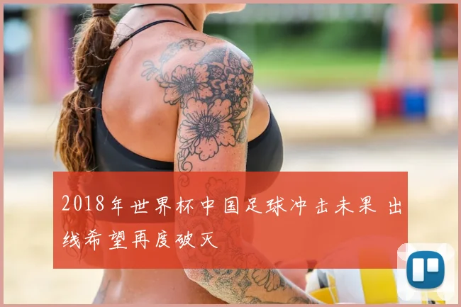 2018年世界杯中国足球冲击未果 出线希望再度破灭
