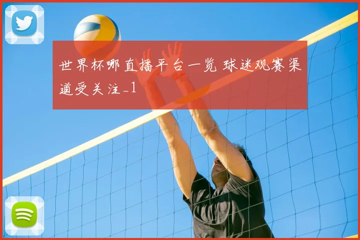 世界杯哪直播平台一览 球迷观赛渠道受关注_1