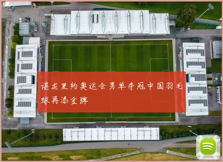 谌龙里约奥运会男单夺冠中国羽毛球再添金牌