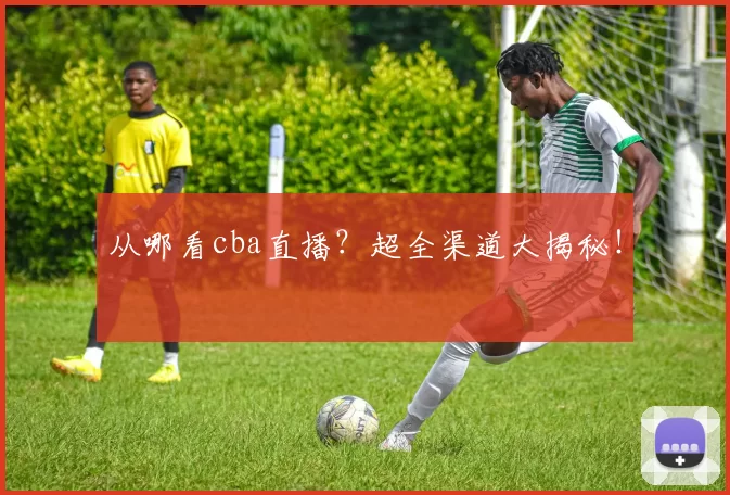从哪看cba直播？超全渠道大揭秘！